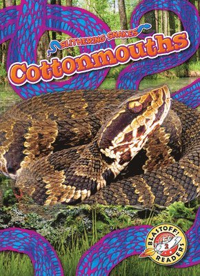 bokomslag Cottonmouths