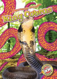 bokomslag King Cobras