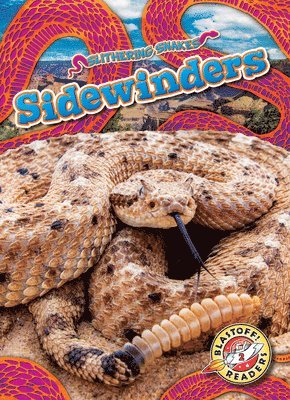 Sidewinders 1