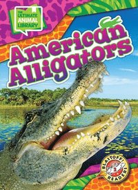bokomslag American Alligators