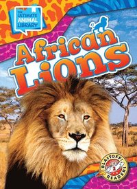 bokomslag African Lions