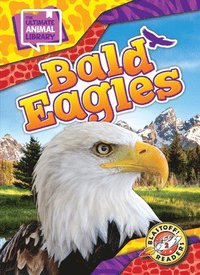 bokomslag Bald Eagles