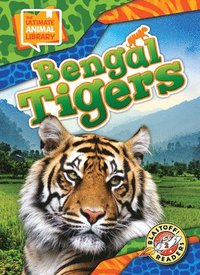 bokomslag Bengal Tigers