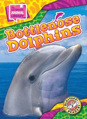 bokomslag Bottlenose Dolphins