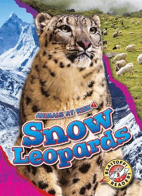 bokomslag Snow Leopards