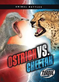 bokomslag Ostrich vs. Cheetah