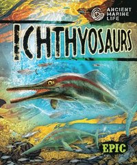 bokomslag Moening, K: Ichthyosaurs