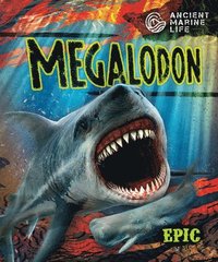 bokomslag Megalodon