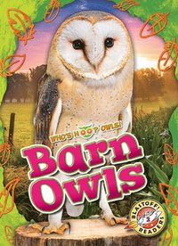 bokomslag Barn Owls