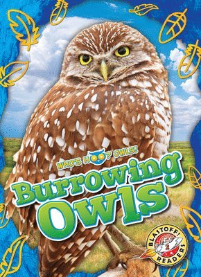 bokomslag Burrowing Owls