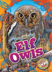 bokomslag Elf Owls