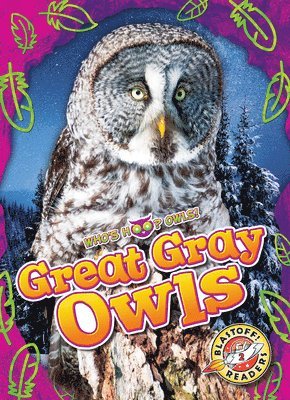 bokomslag Great Gray Owls