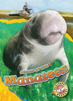 bokomslag Manatees