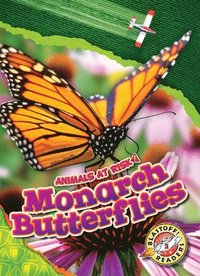 bokomslag Monarch Butterflies