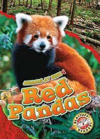 bokomslag Red Pandas