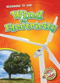 bokomslag Wind to Electricity
