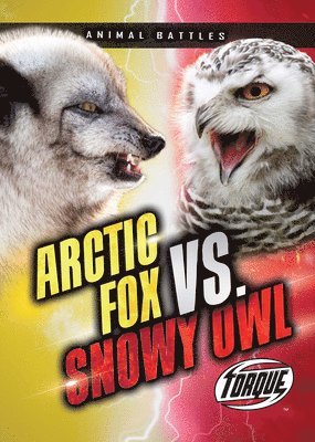 Nathan Sommer - Arctic Fox vs. Snowy Owl, Inbunden