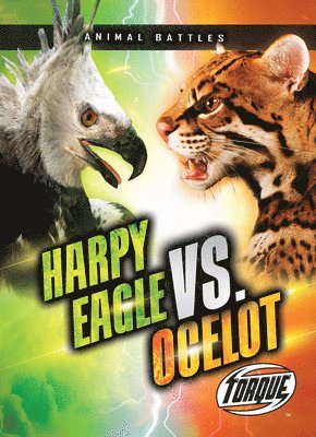 Nathan Sommer - Harpy Eagle vs. Ocelot, Inbunden