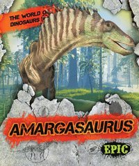 bokomslag Amargasaurus