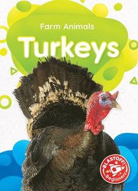 bokomslag Turkeys