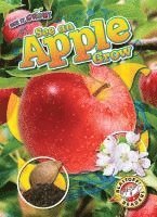 Kirsten Chang - See an Apple Grow, Inbunden