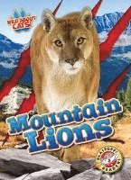 bokomslag Mountain Lions