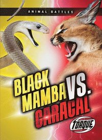 bokomslag Black Mamba vs. Caracal