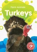 Betsy Rathburn - Turkeys, Häftad