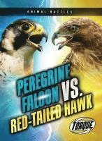 bokomslag Peregrine Falcon vs. Red-Tailed Hawk