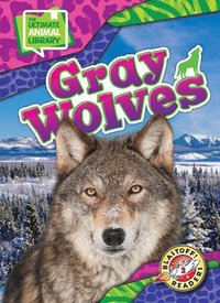 bokomslag Gray Wolves