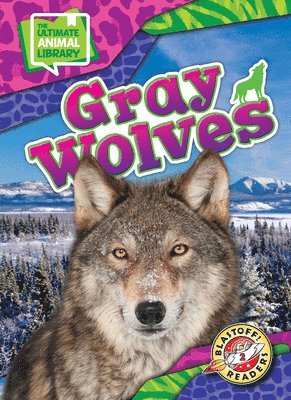 Chris Bowman - Gray Wolves, Inbunden