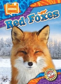 bokomslag Red Foxes
