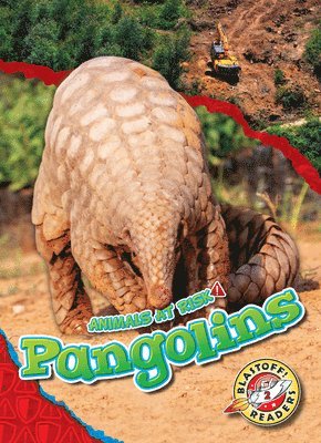 bokomslag Grack, R: Pangolins