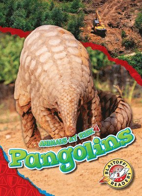 bokomslag Pangolins