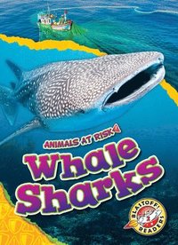 bokomslag Whale Sharks