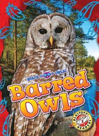 bokomslag Barred Owls