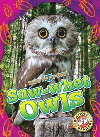 bokomslag Saw-Whet Owls