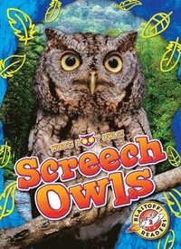bokomslag Screech Owls