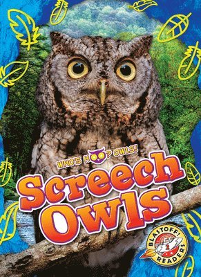 Screech Owls 1