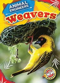 bokomslag Weavers