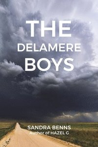 bokomslag Delamere Boys