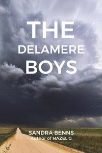 bokomslag The Delamere Boys