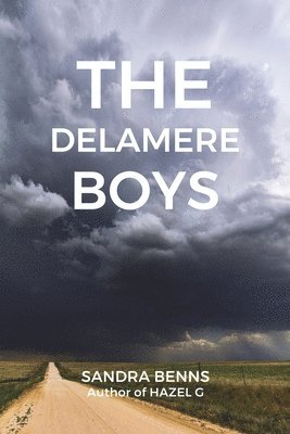 bokomslag The Delamere Boys