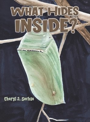 What Hides Inside? 1