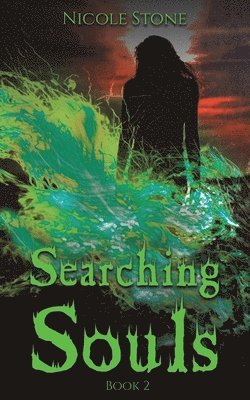 bokomslag Searching Souls