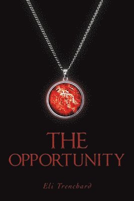 The Opportunity 1