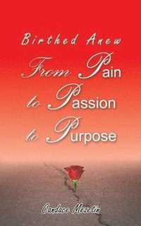 bokomslag Birthed Anew: From Pain to Passion to Purpose