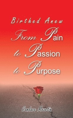 Candace Mezetin - Birthed Anew: From Pain to Passion to Purpose, Häftad