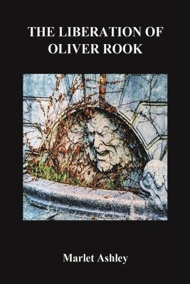 bokomslag Liberation of Oliver Rook