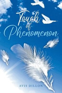 bokomslag Touch of Phenomenon